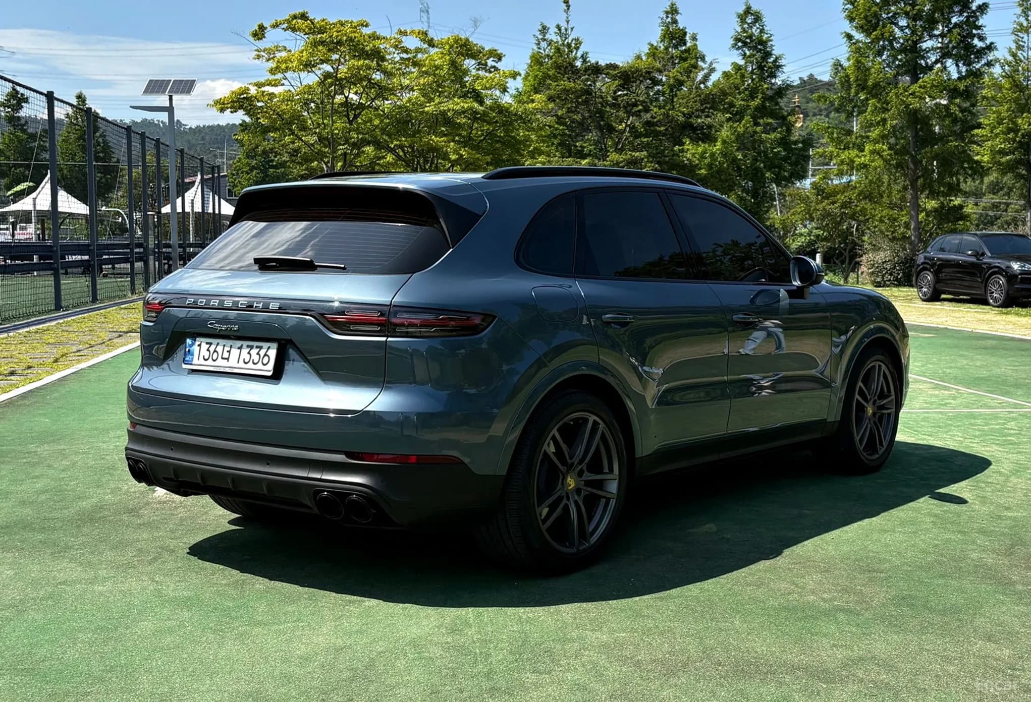 Cayenne (PO536)