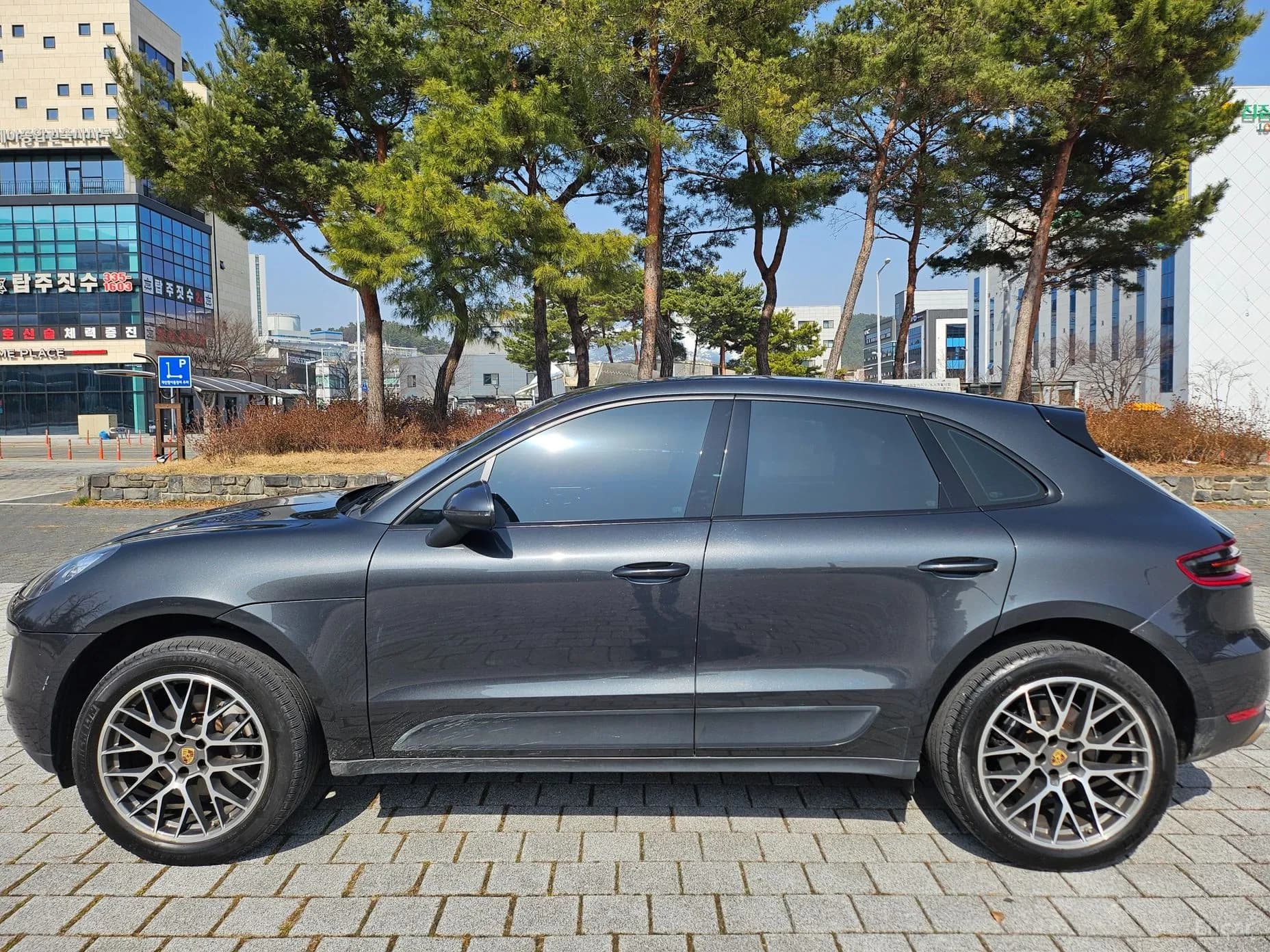Macan