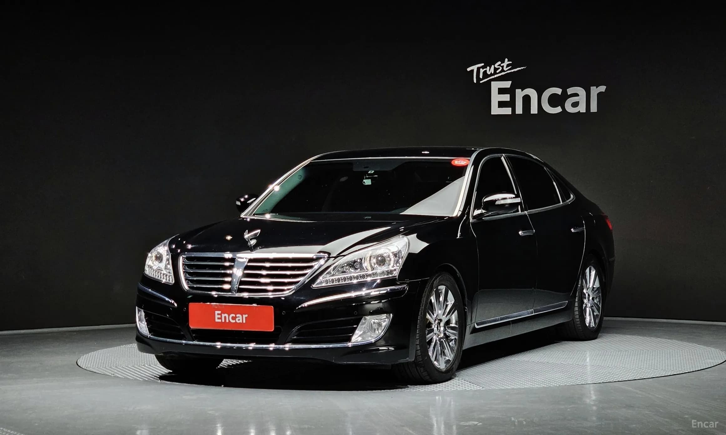 Equus (new)