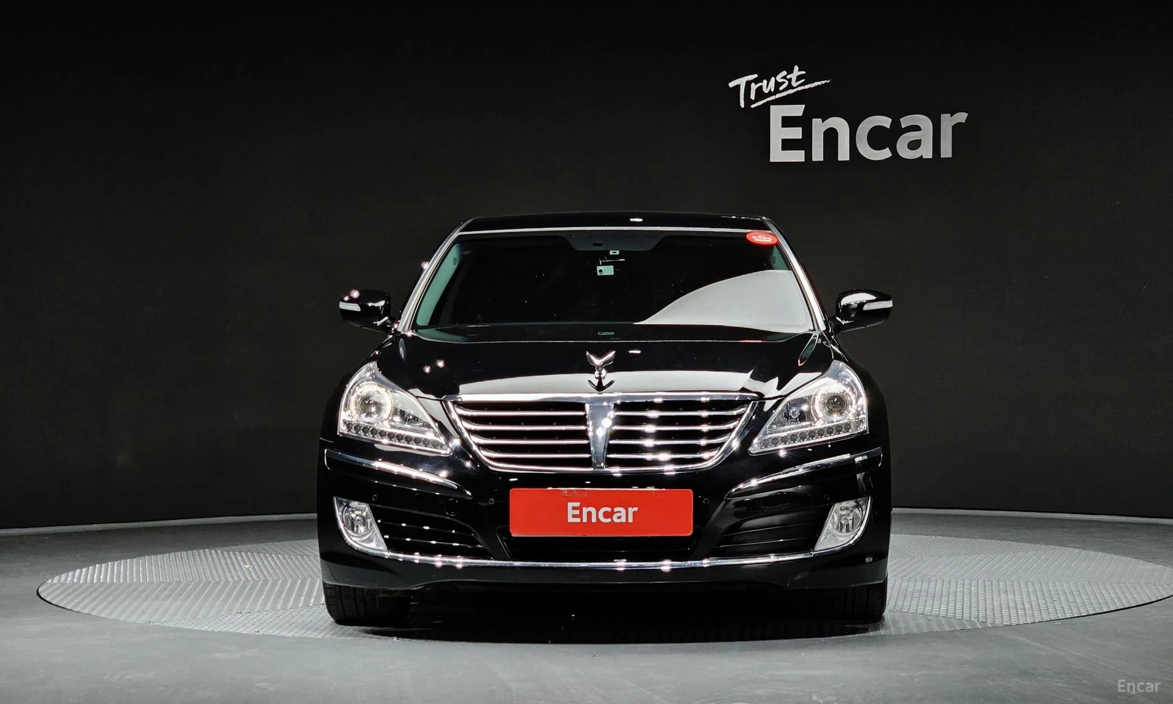 Equus (new)