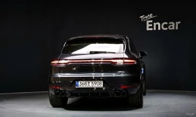 Macan