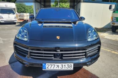 Cayenne (PO536)
