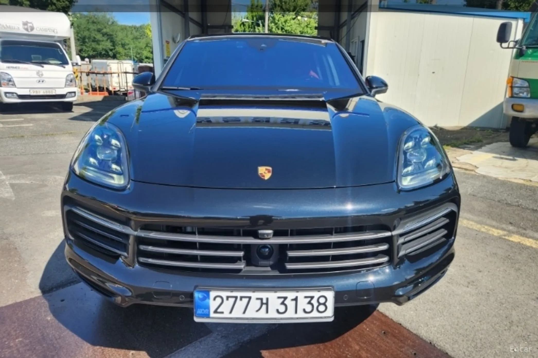 Cayenne (PO536)