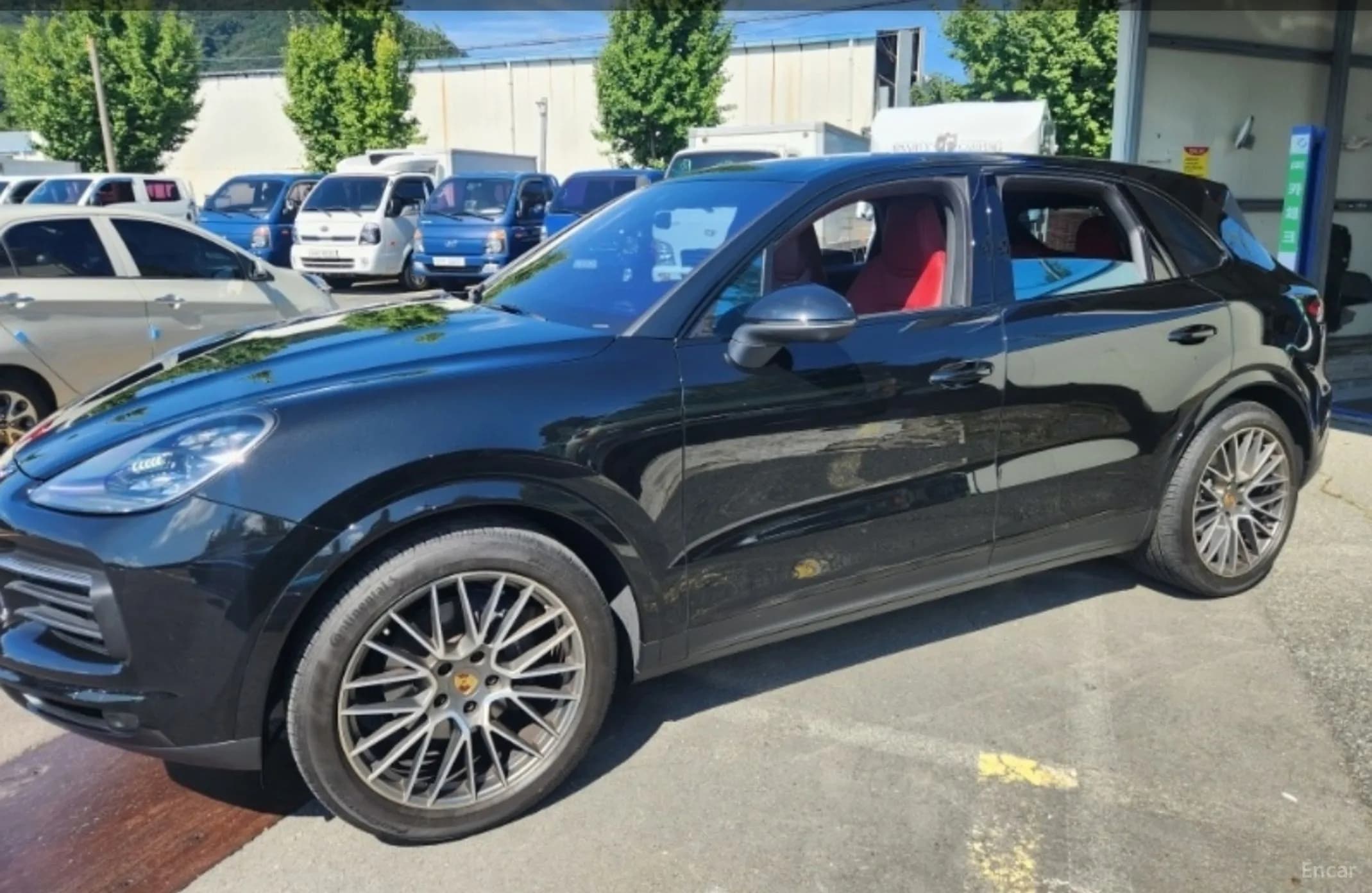 Cayenne (PO536)