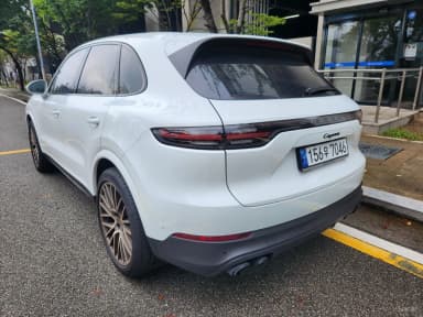 Cayenne (PO536)