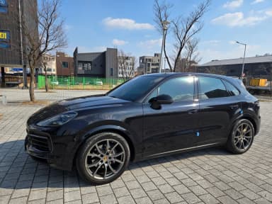 Cayenne (PO536)