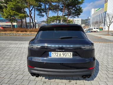 Cayenne (PO536)