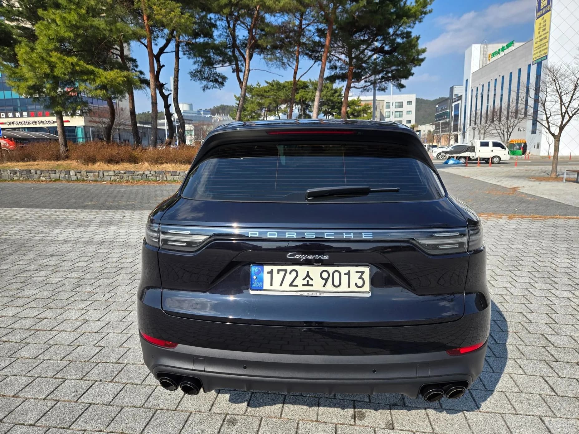 Cayenne (PO536)