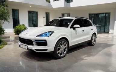 Cayenne (PO536)