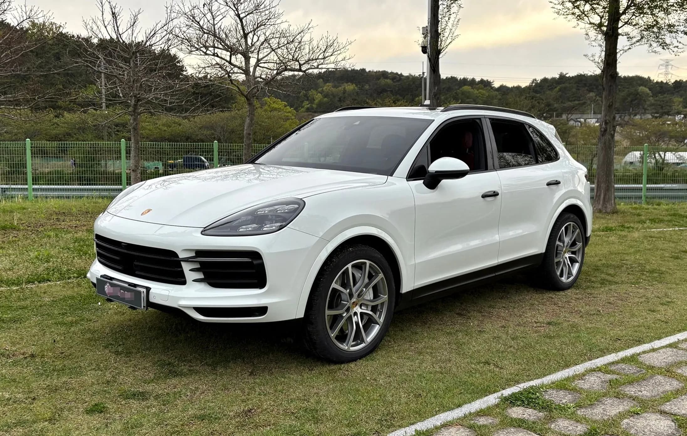 Cayenne (PO536)