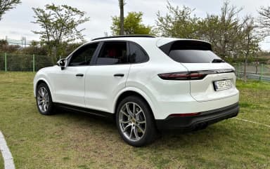 Cayenne (PO536)