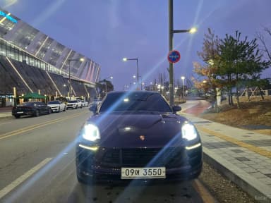 Macan