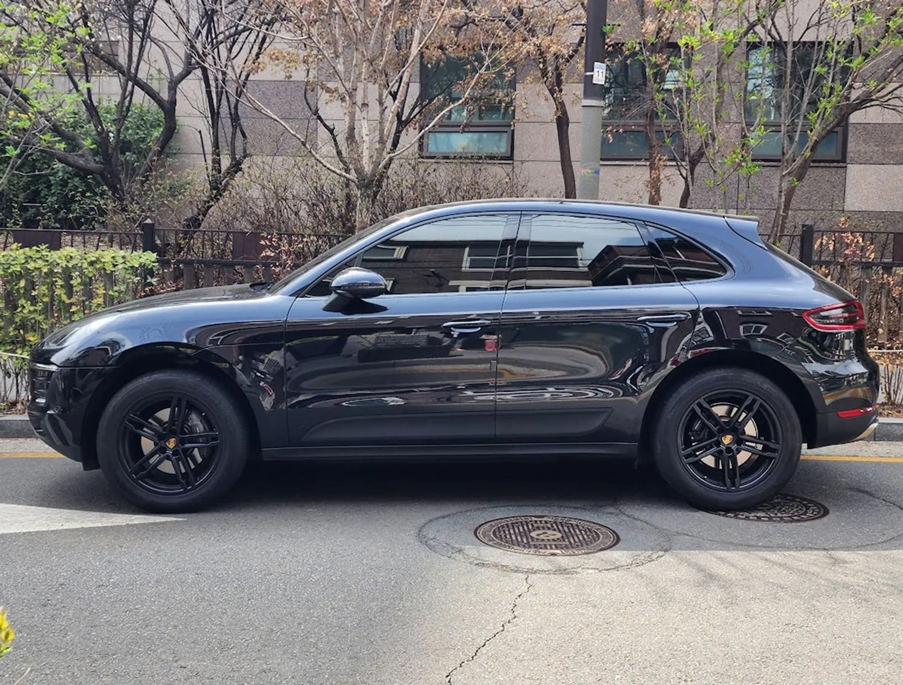 Macan