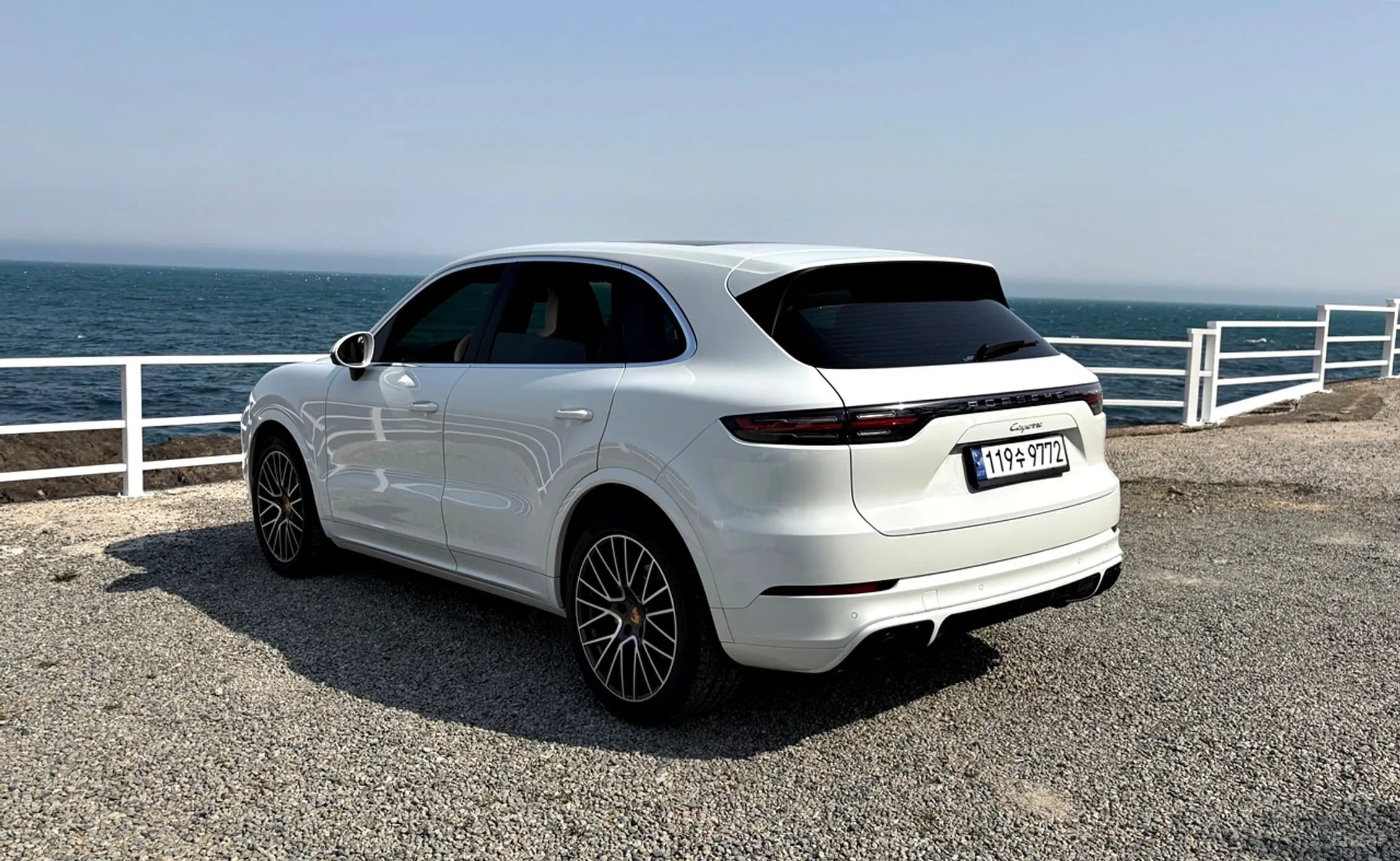 Cayenne (PO536)