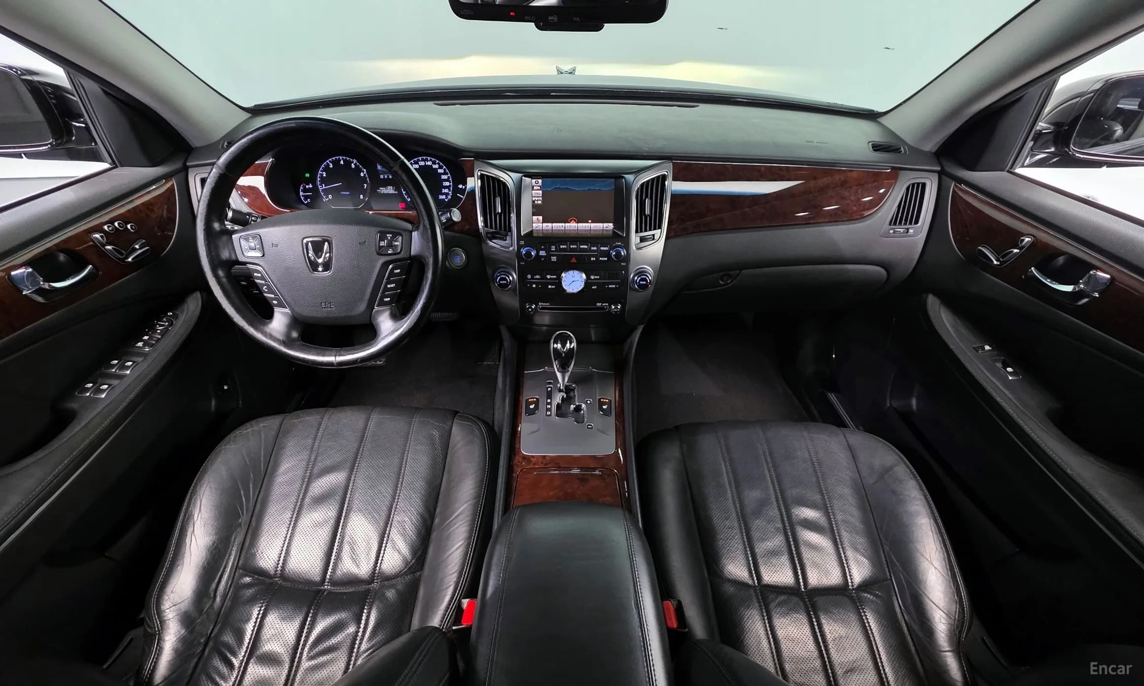 Equus (new)