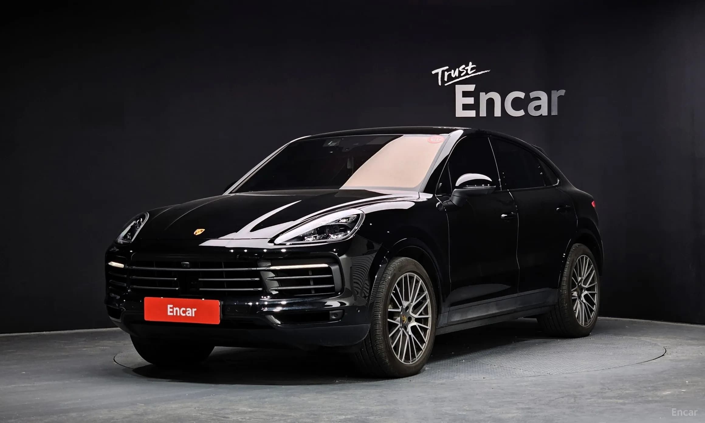 Cayenne (PO536)