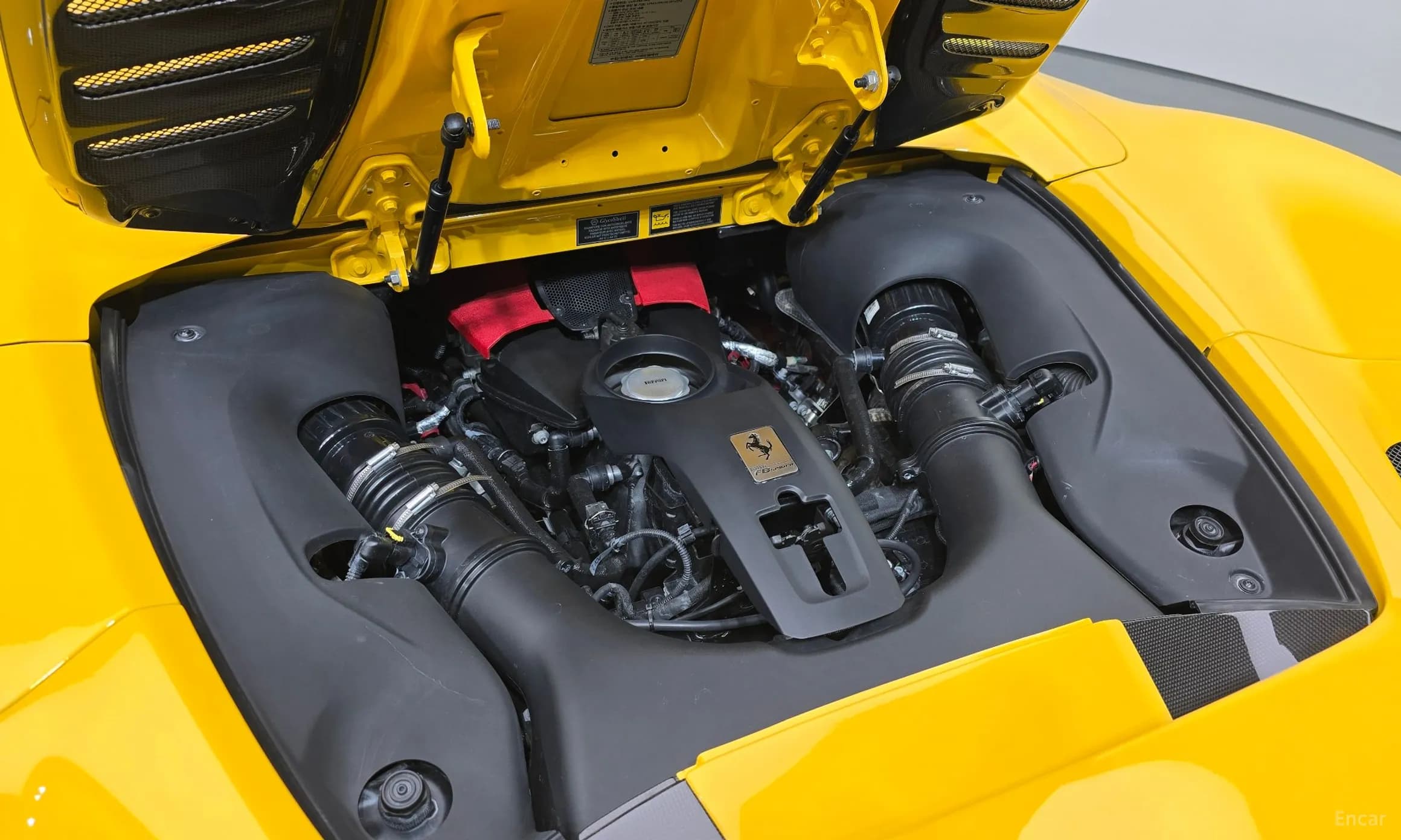 F8 Spider