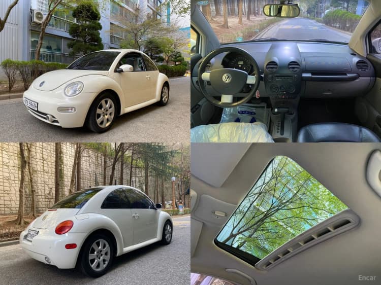 New Beetle