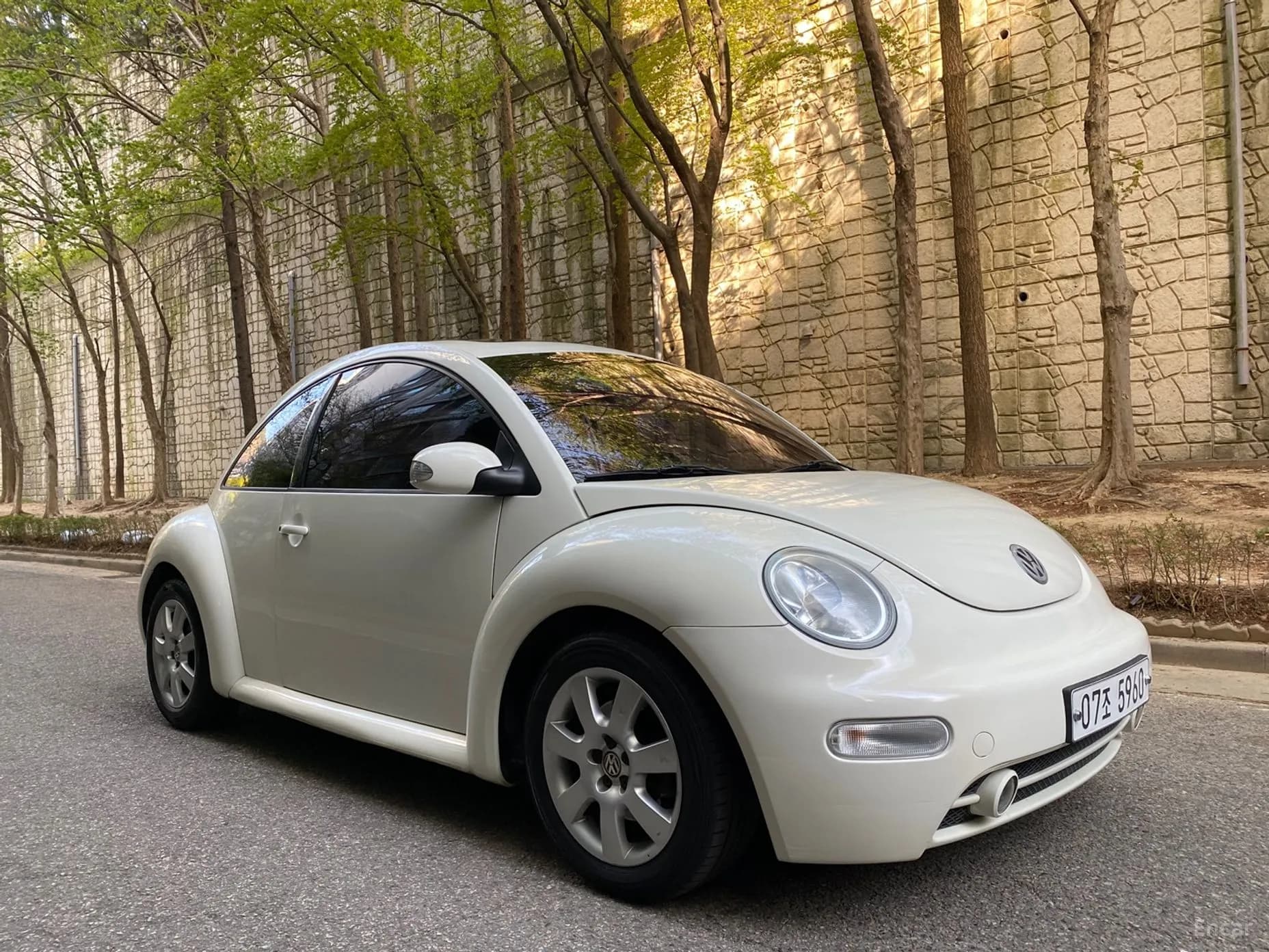 New Beetle