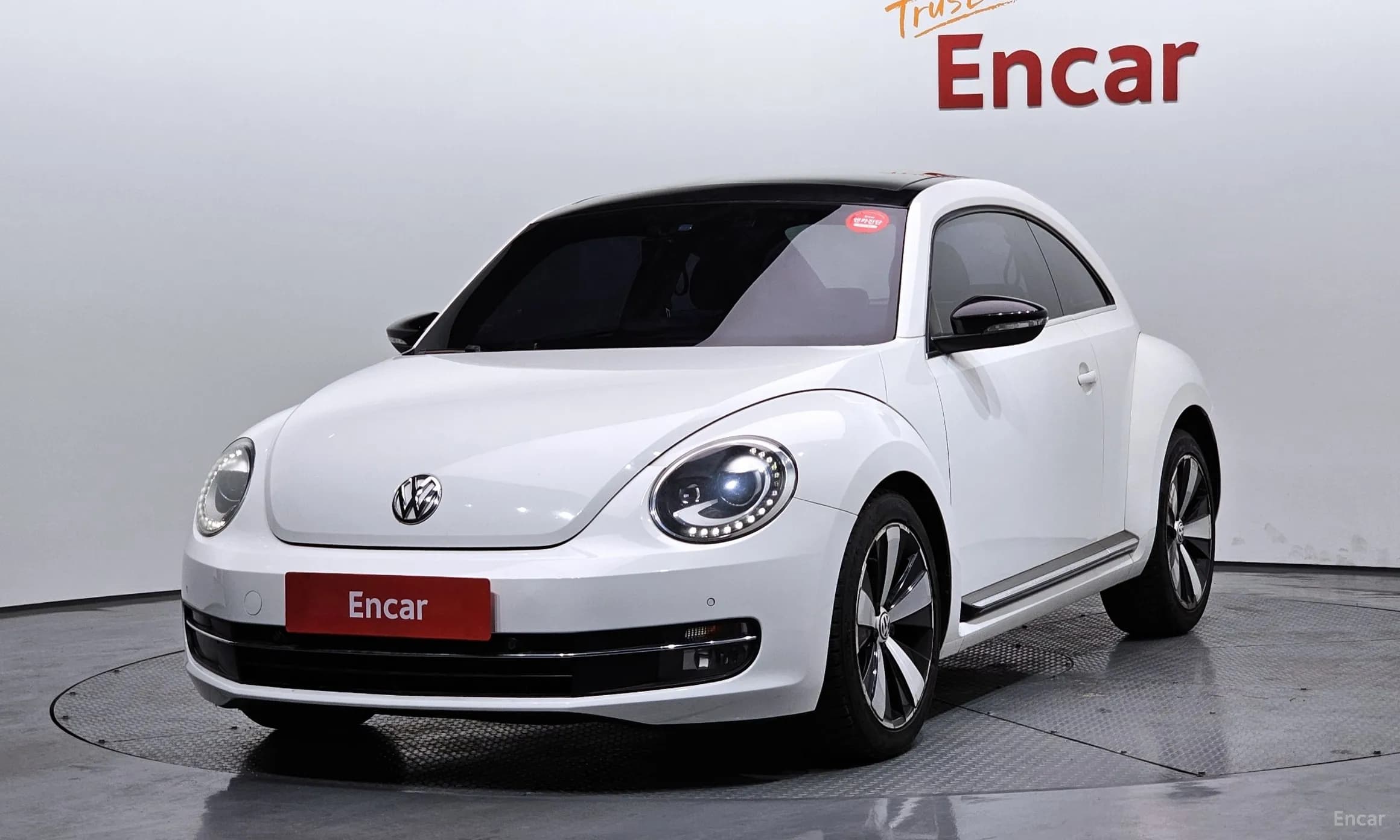 The Beetle