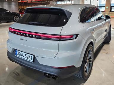 Cayenne (PO536)