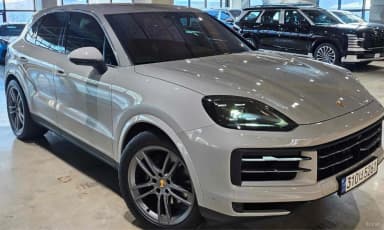 Cayenne (PO536)