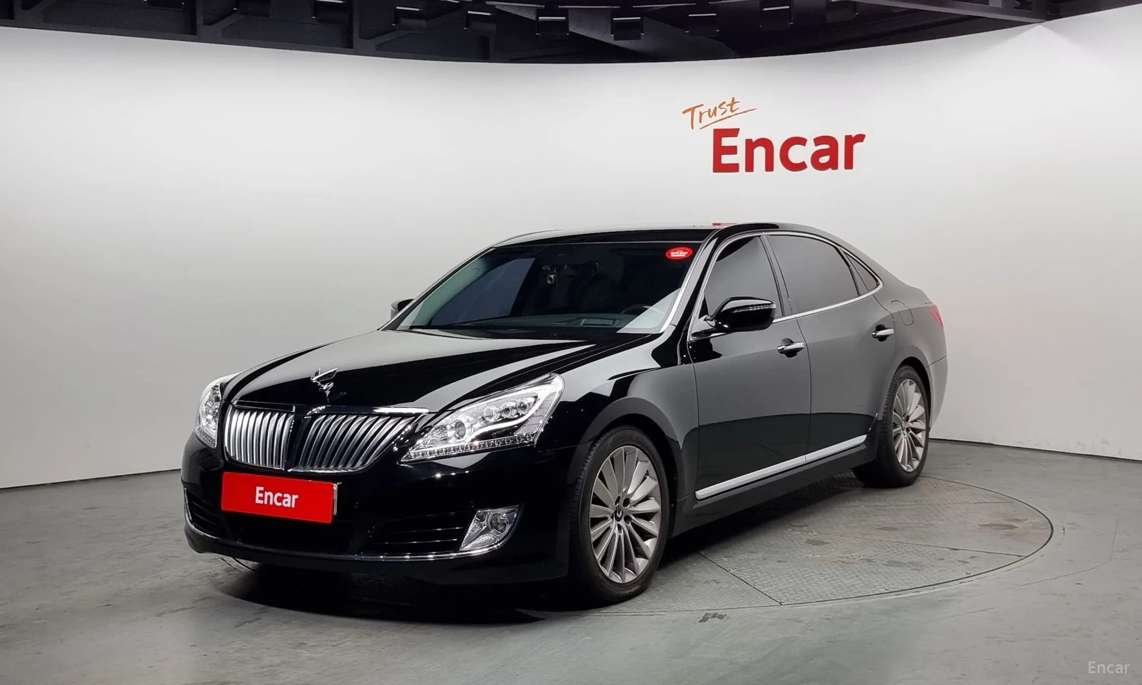 Equus (new)