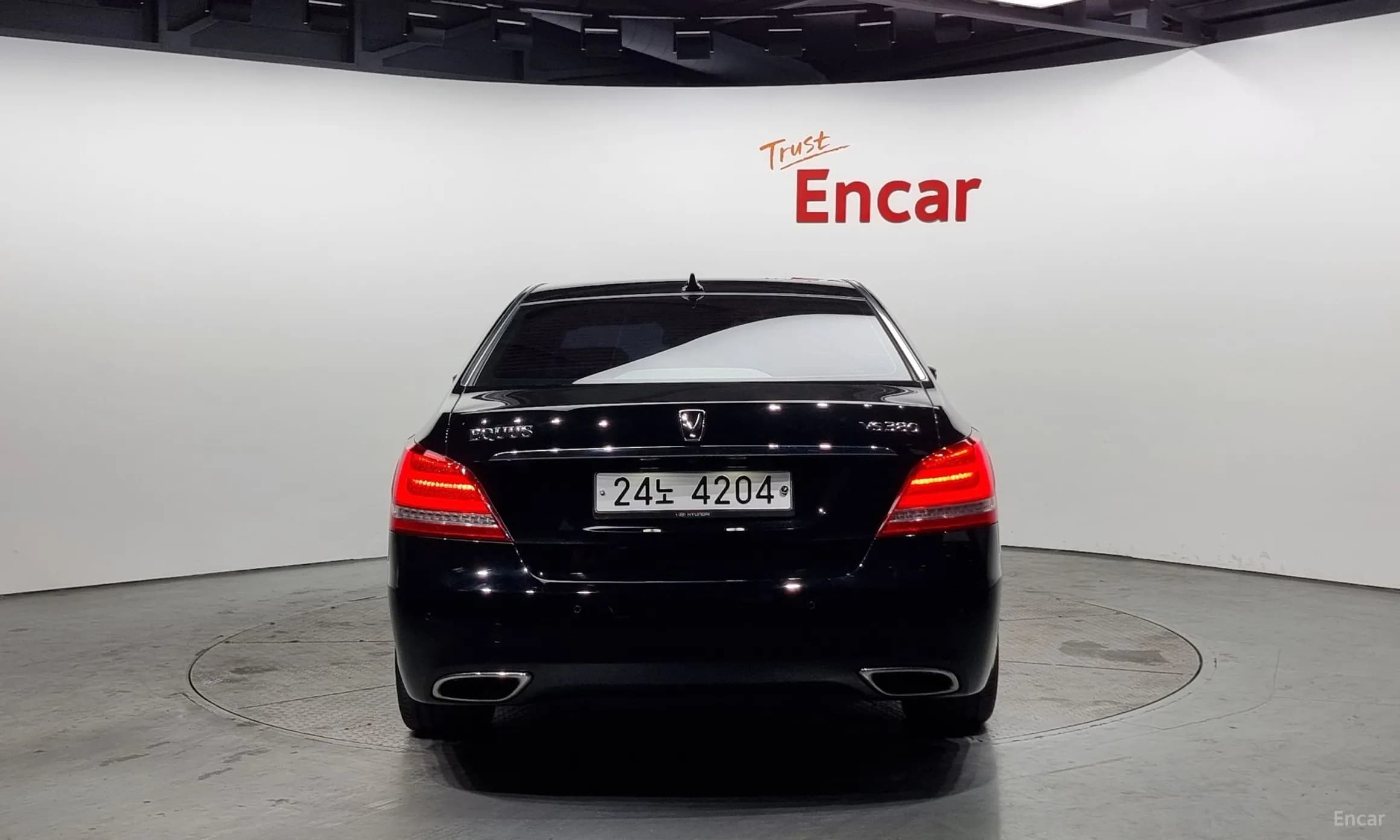 Equus (new)