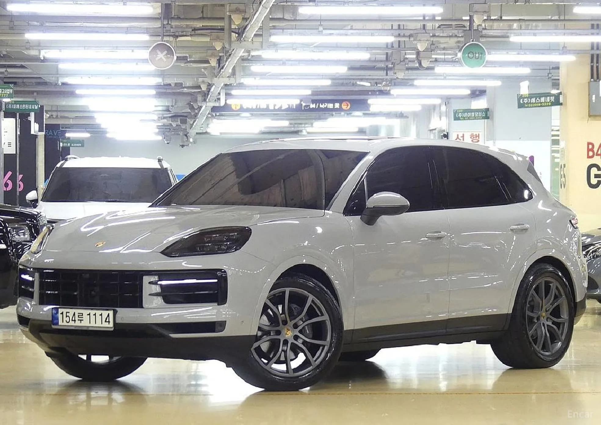 Cayenne (PO536)