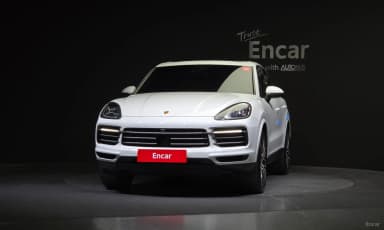 Cayenne (PO536)