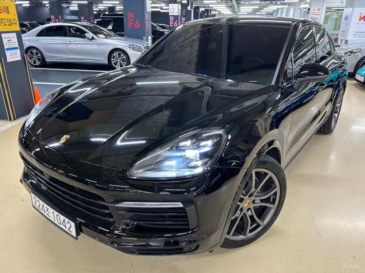 Cayenne (PO536)
