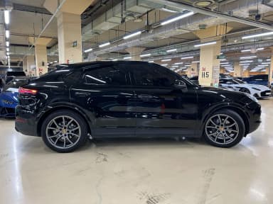 Cayenne (PO536)