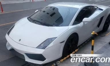 GALLARDO