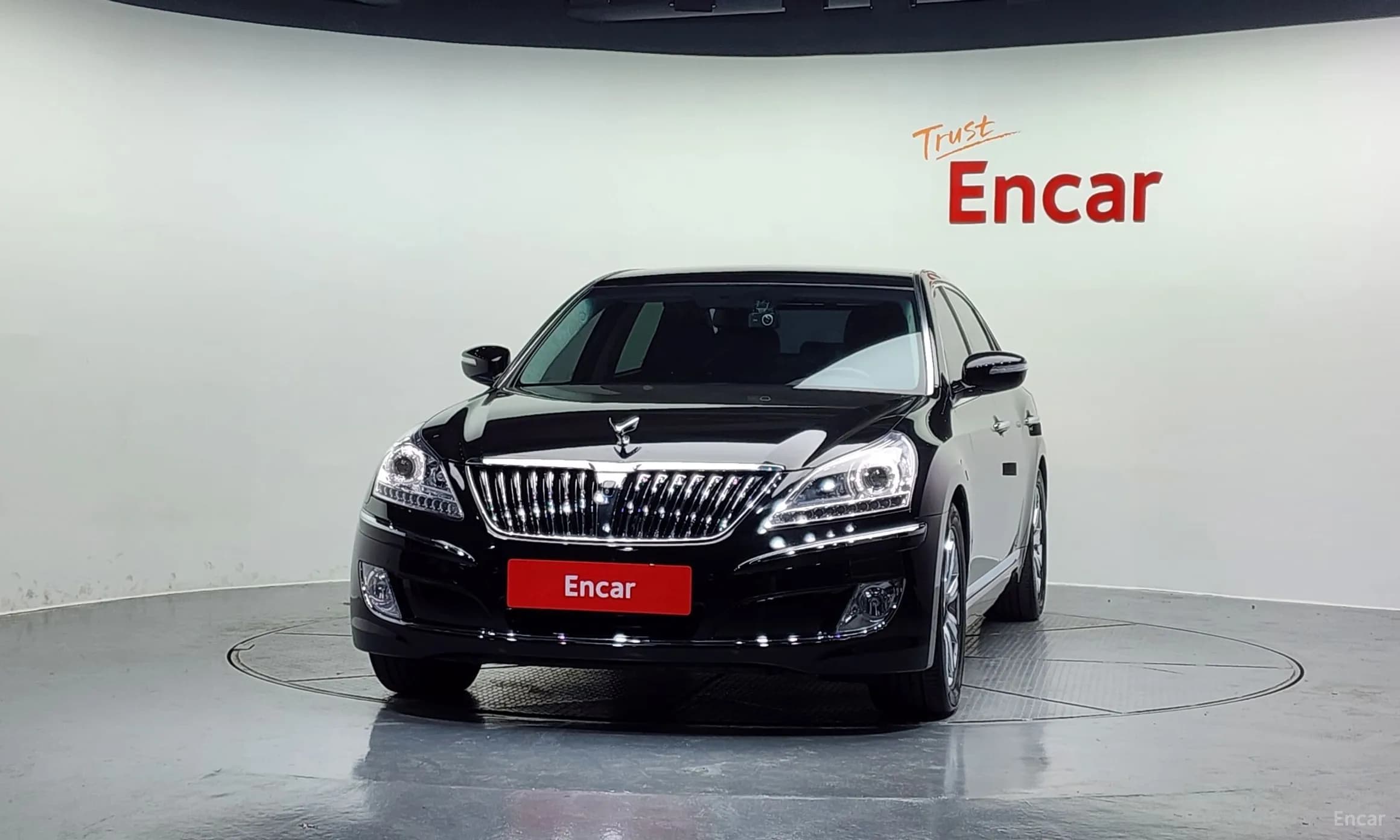 Equus (new)