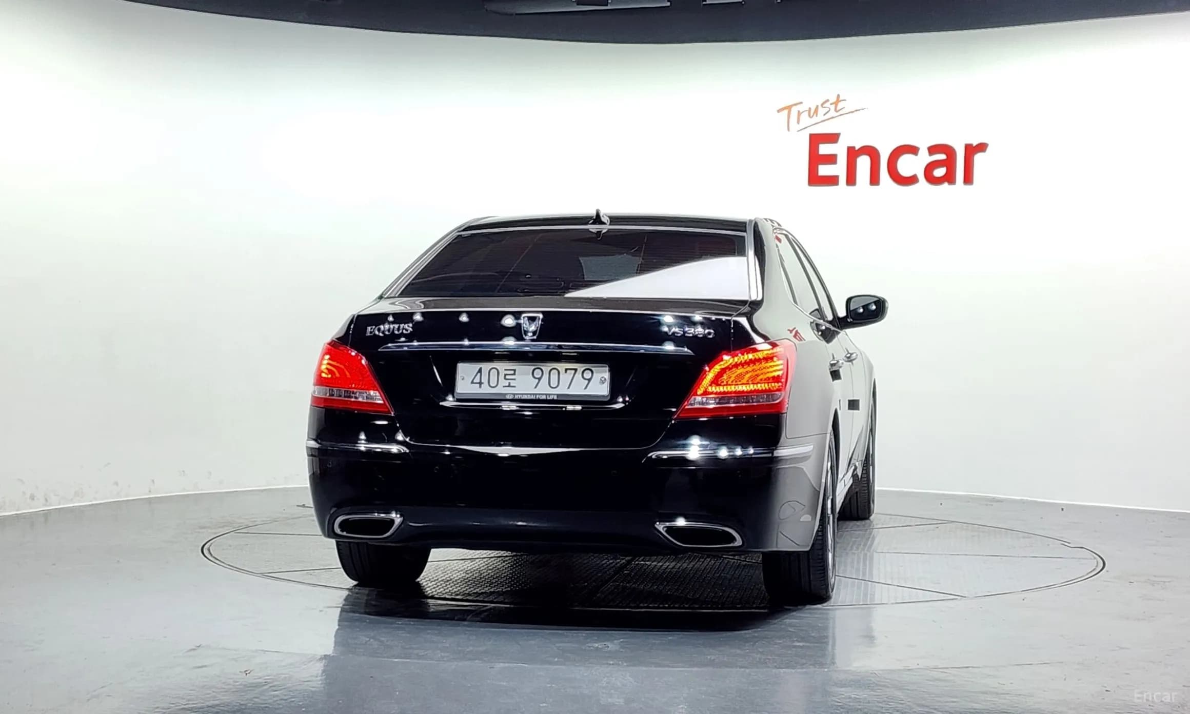 Equus (new)