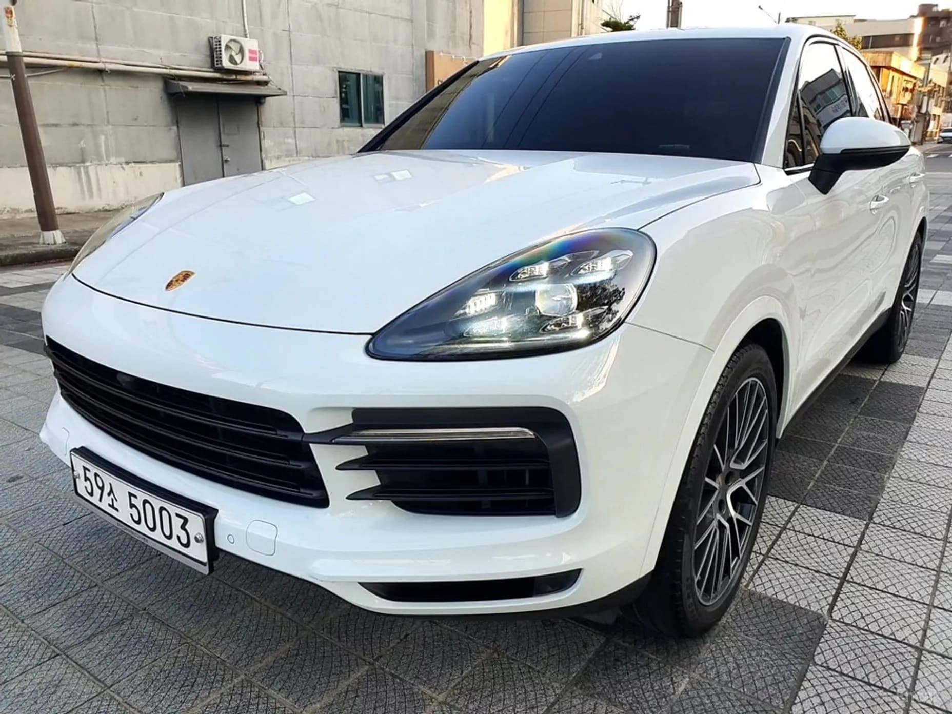 Cayenne (PO536)