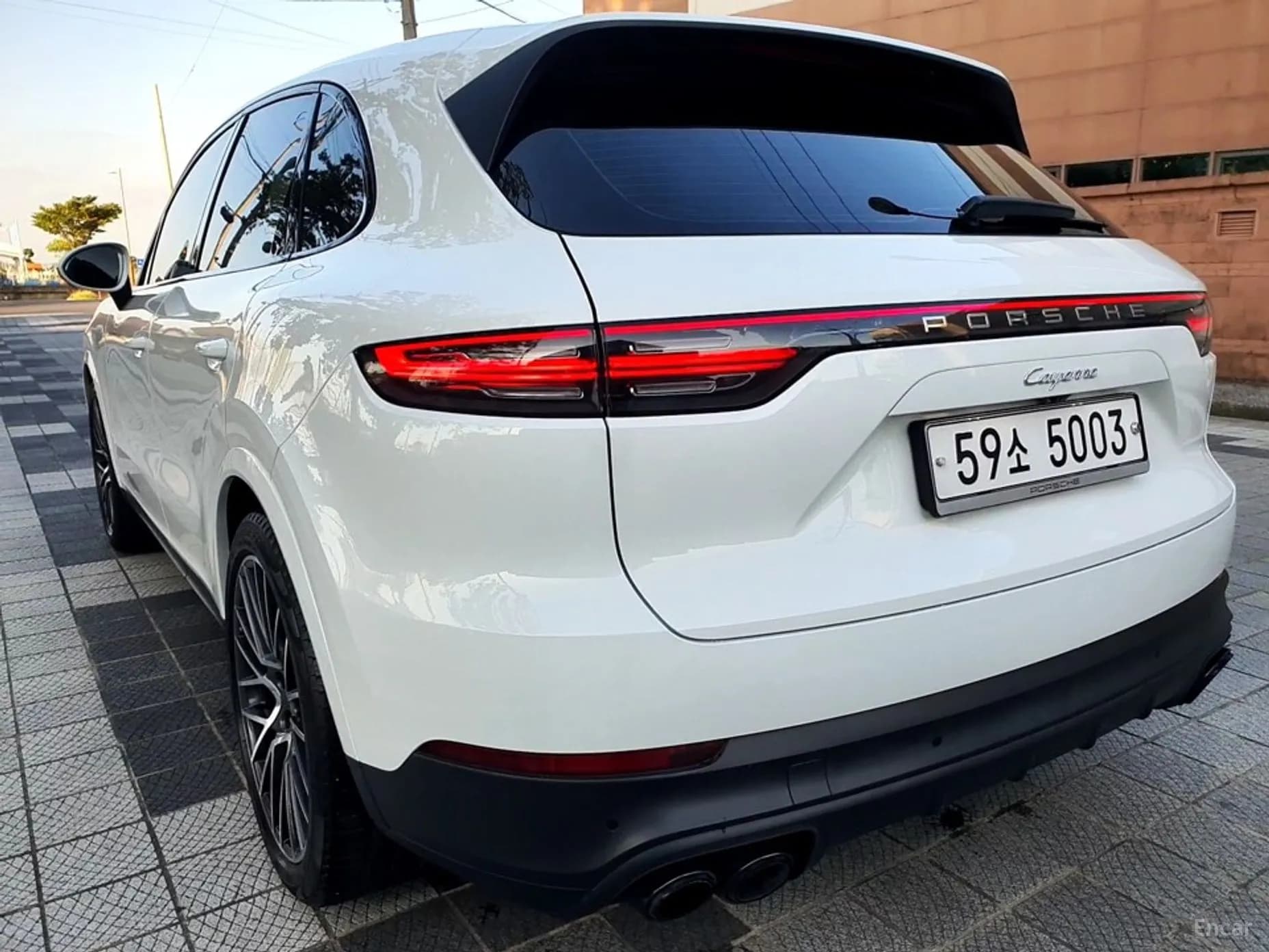Cayenne (PO536)