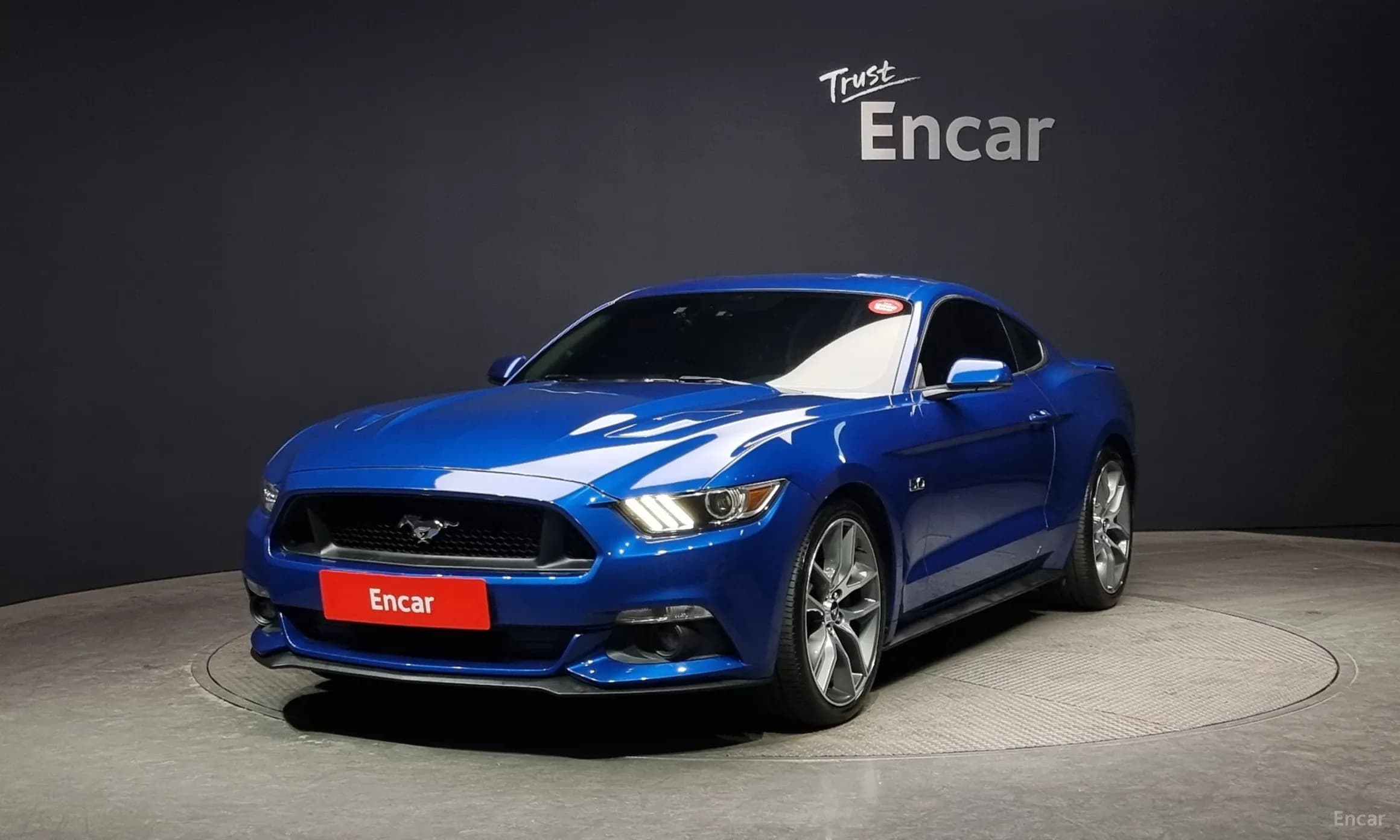 Mustang
