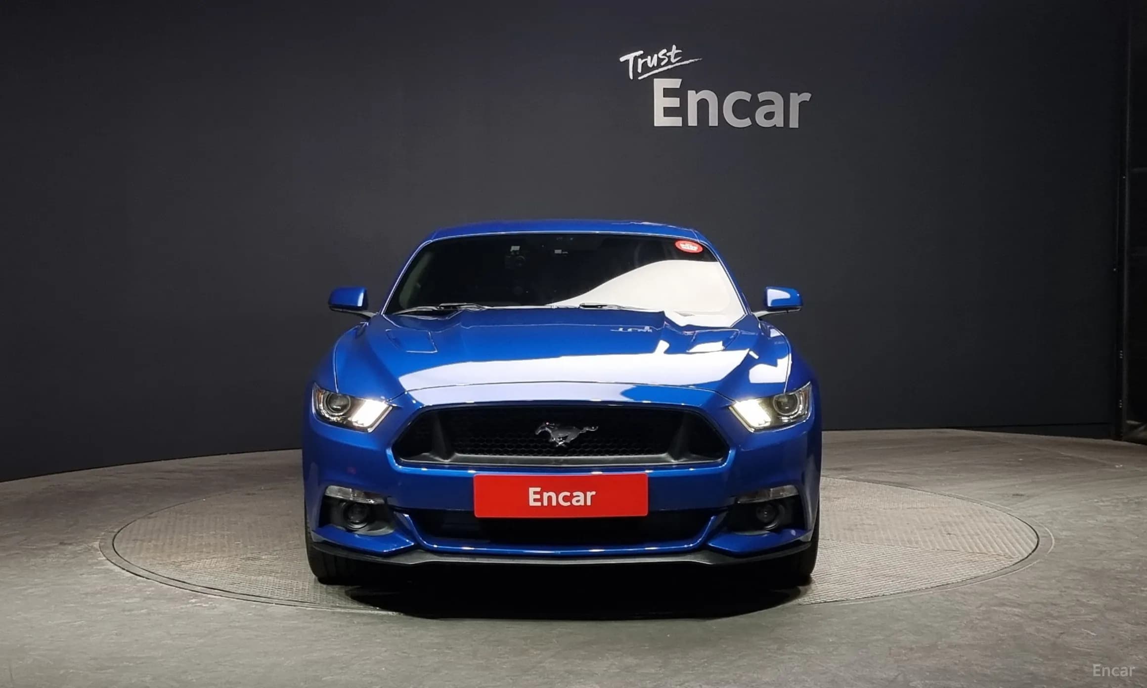 Mustang