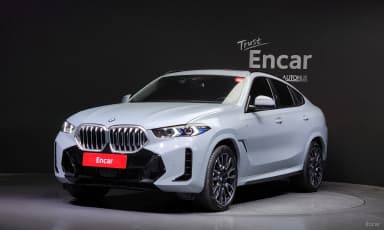 X6 (G06)