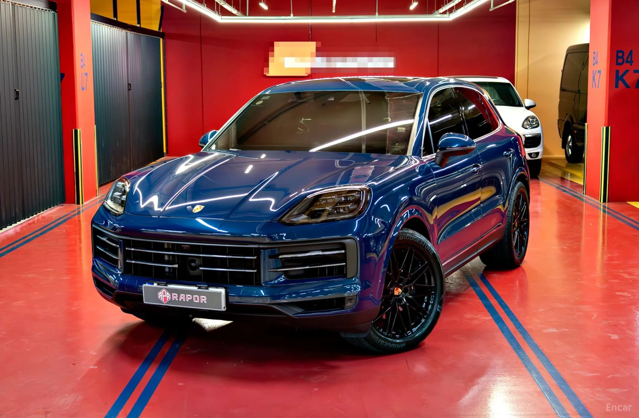 Cayenne (PO536)