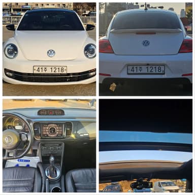The Beetle