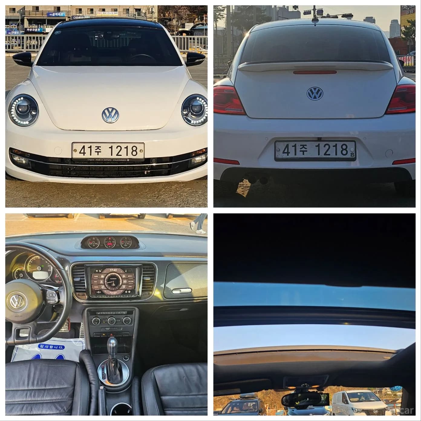 The Beetle