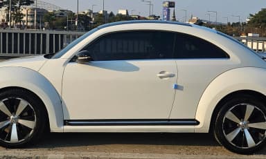 The Beetle