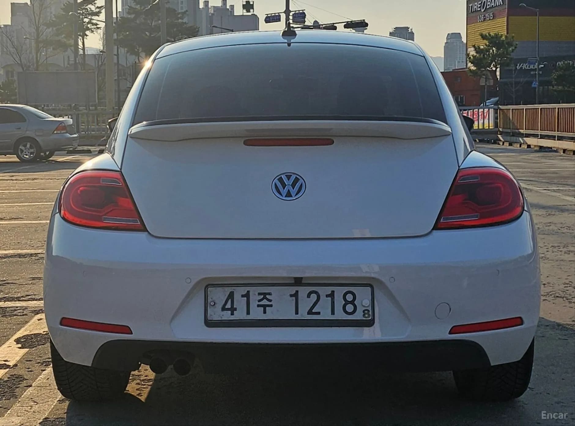 The Beetle