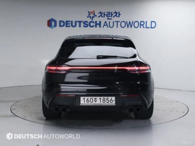 Macan
