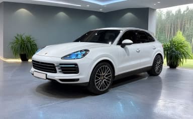 Cayenne (PO536)