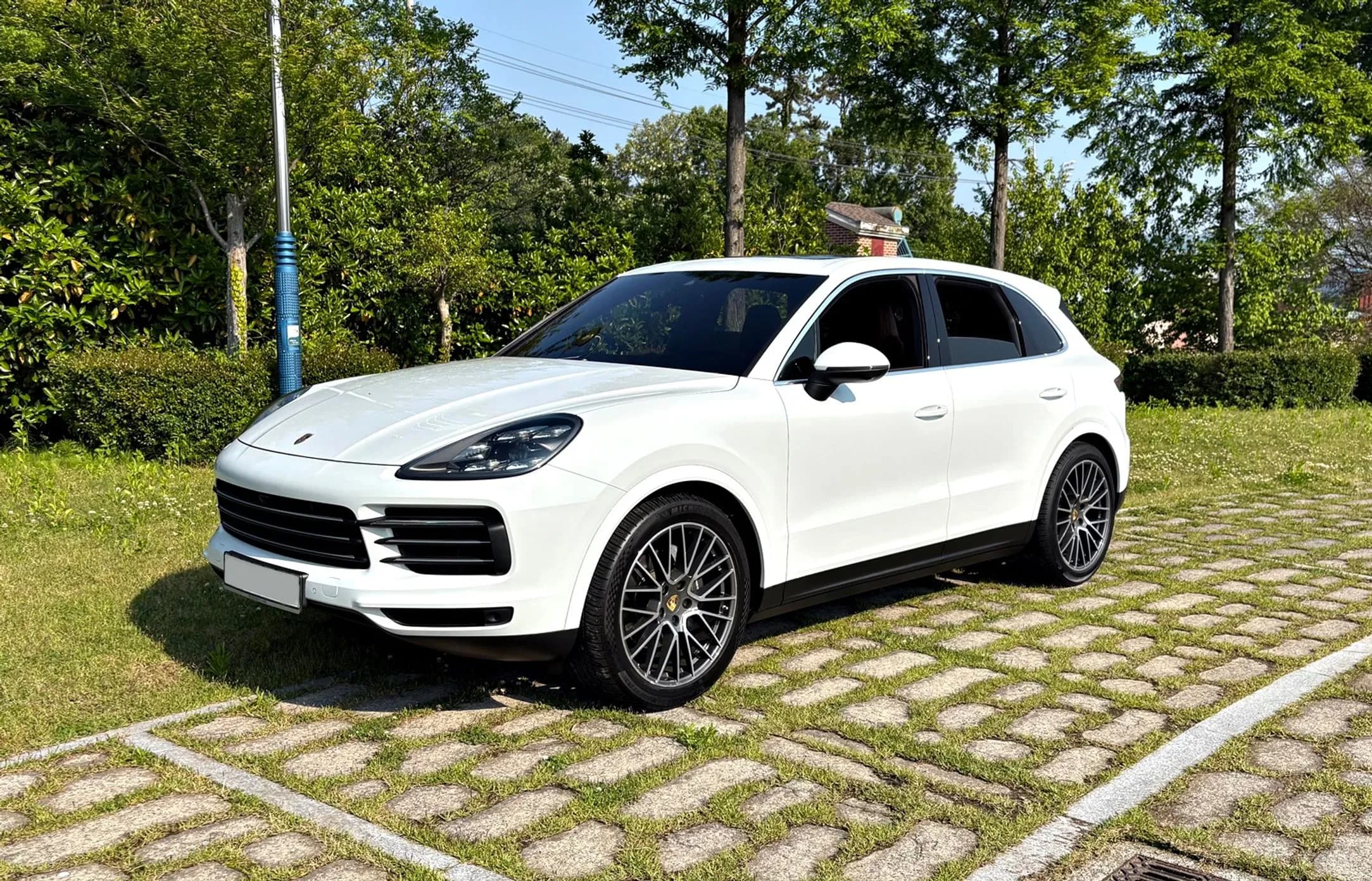 Cayenne (PO536)