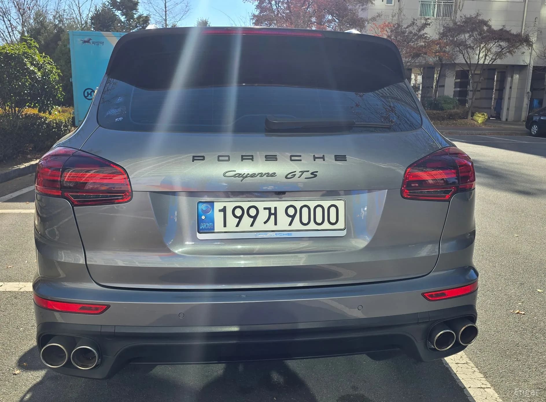 New Cayenne
