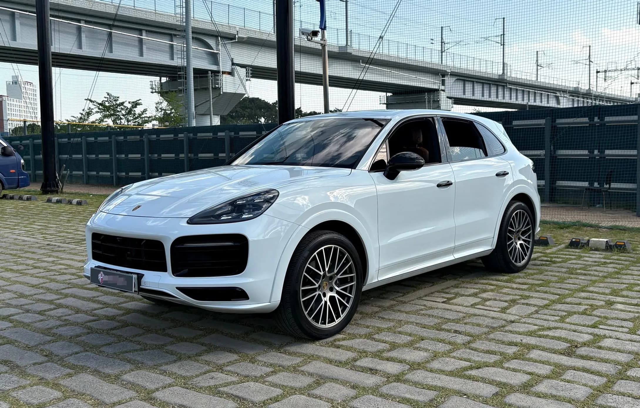 Cayenne (PO536)